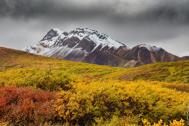 Alaska