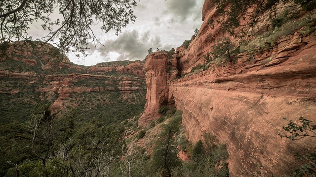 Arizona