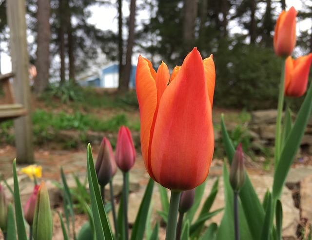Arkansas