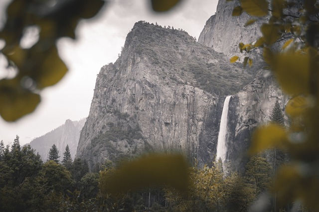 California