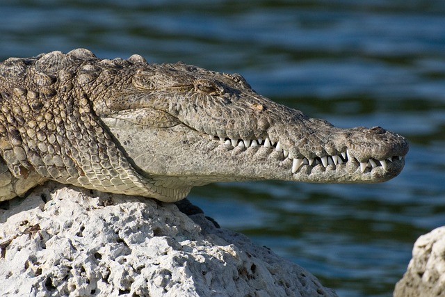 Florida