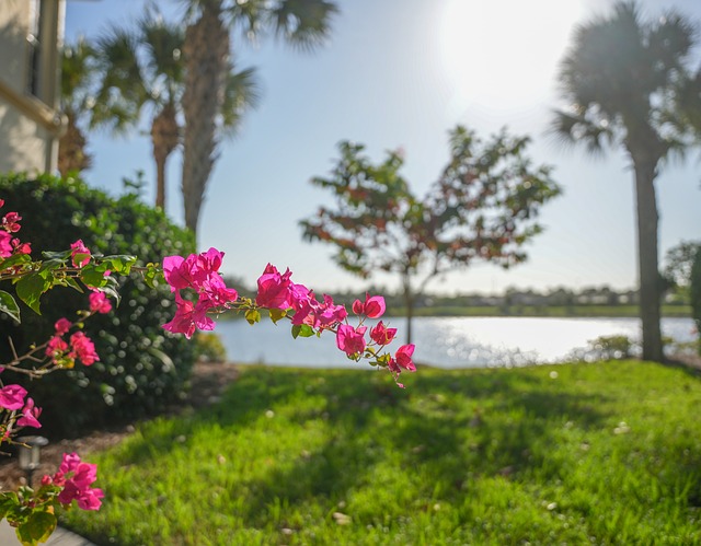 Florida
