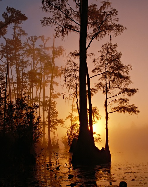 Florida