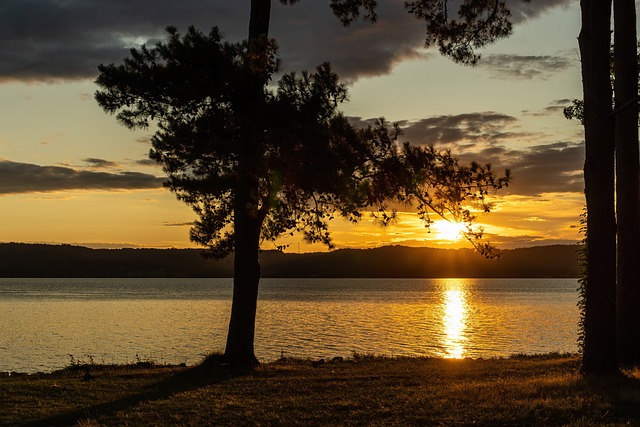 Alabama’s Premier Plumbing Services: Expert Care for Every Home Need