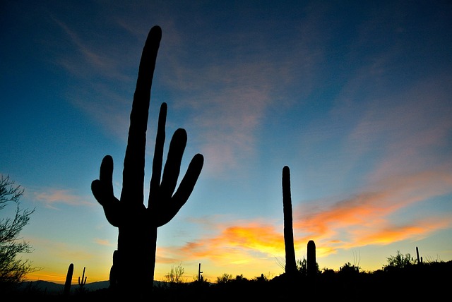 arizona-640x480-52709315.jpeg