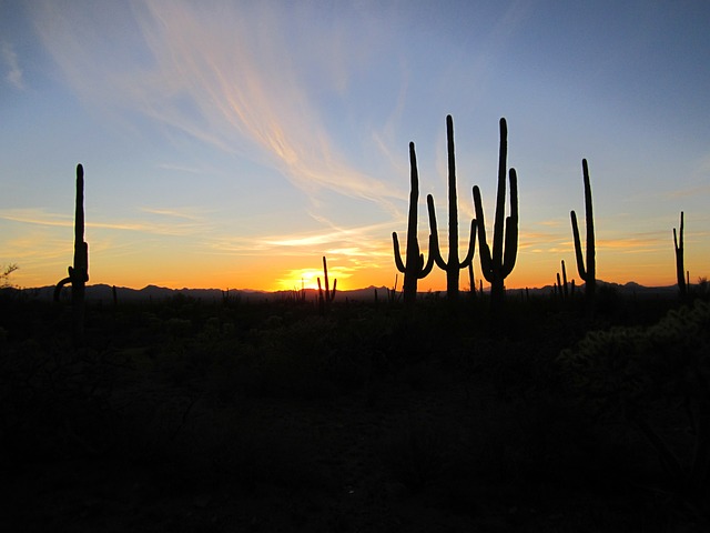 arizona-640x480-78475342.jpeg