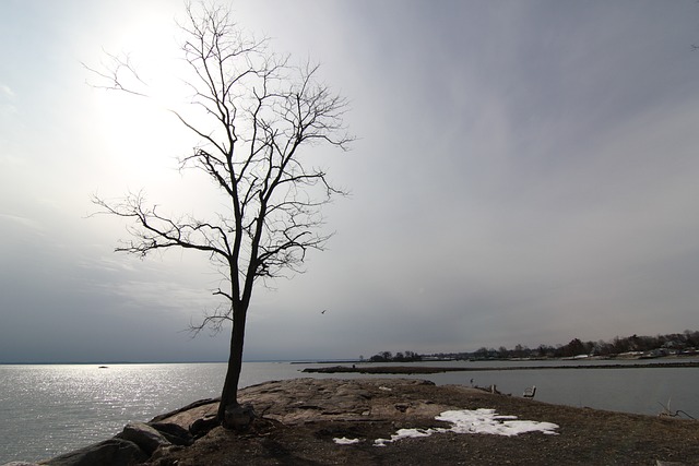 connecticut-640x480-98815165.jpeg