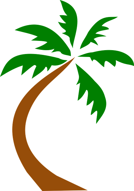hawaii-640x480-8829945.png