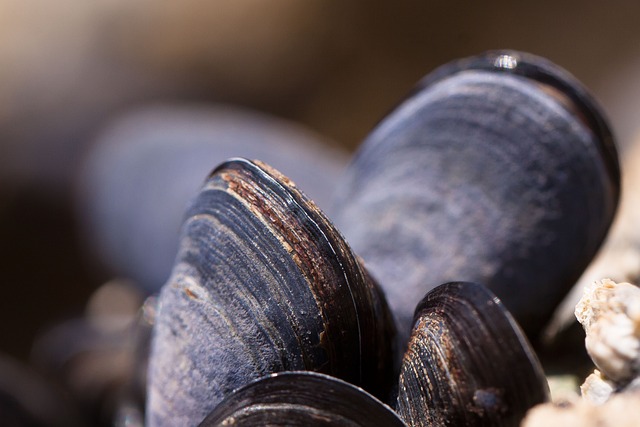 Seafood Restaurants in Delaware