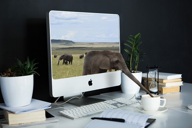 computers-640x480-2082664.jpeg