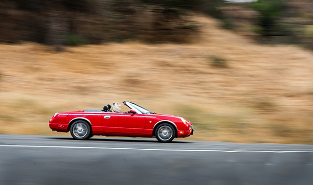 classic cars, modern car, fast car, cars